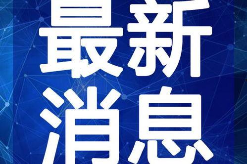 比尔昆最新爆料视频大全,视频大全深度解析！”